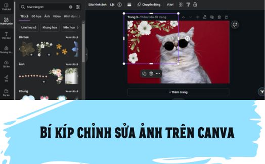 Chỉnh hiệu ứng trên Canva