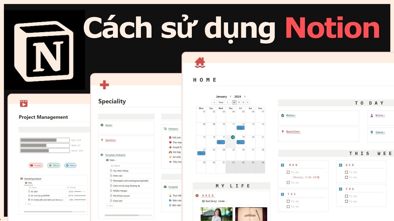 học Notion cho người mới