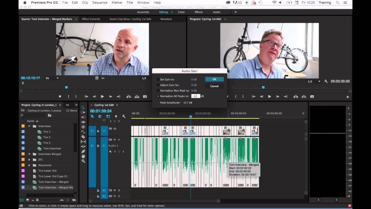 Hộp thoại Audio Gain trong Adobe Premiere Pro