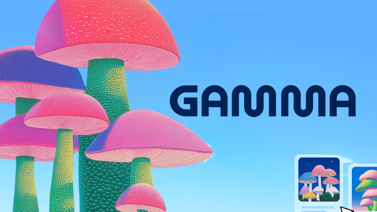Bảng giá Gamma mới nhất 2026, chi tiết tính năng các gói