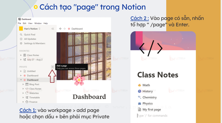 Cách tổ chức ghi chú Notion theo phương pháp PARA
