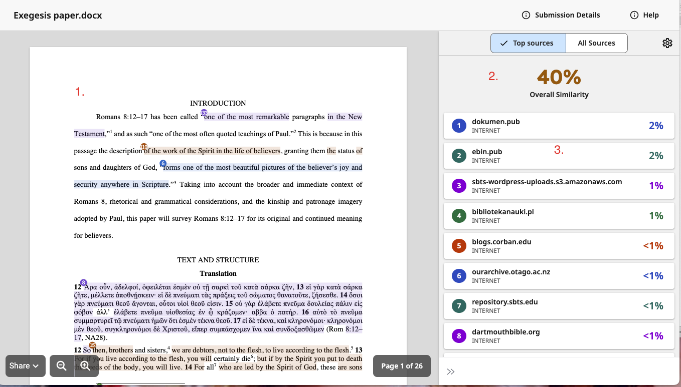 How do I interpret my Turnitin Report?