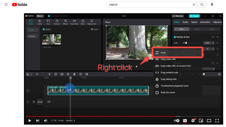 Tạo video lặp lại trên Capcut Centrix