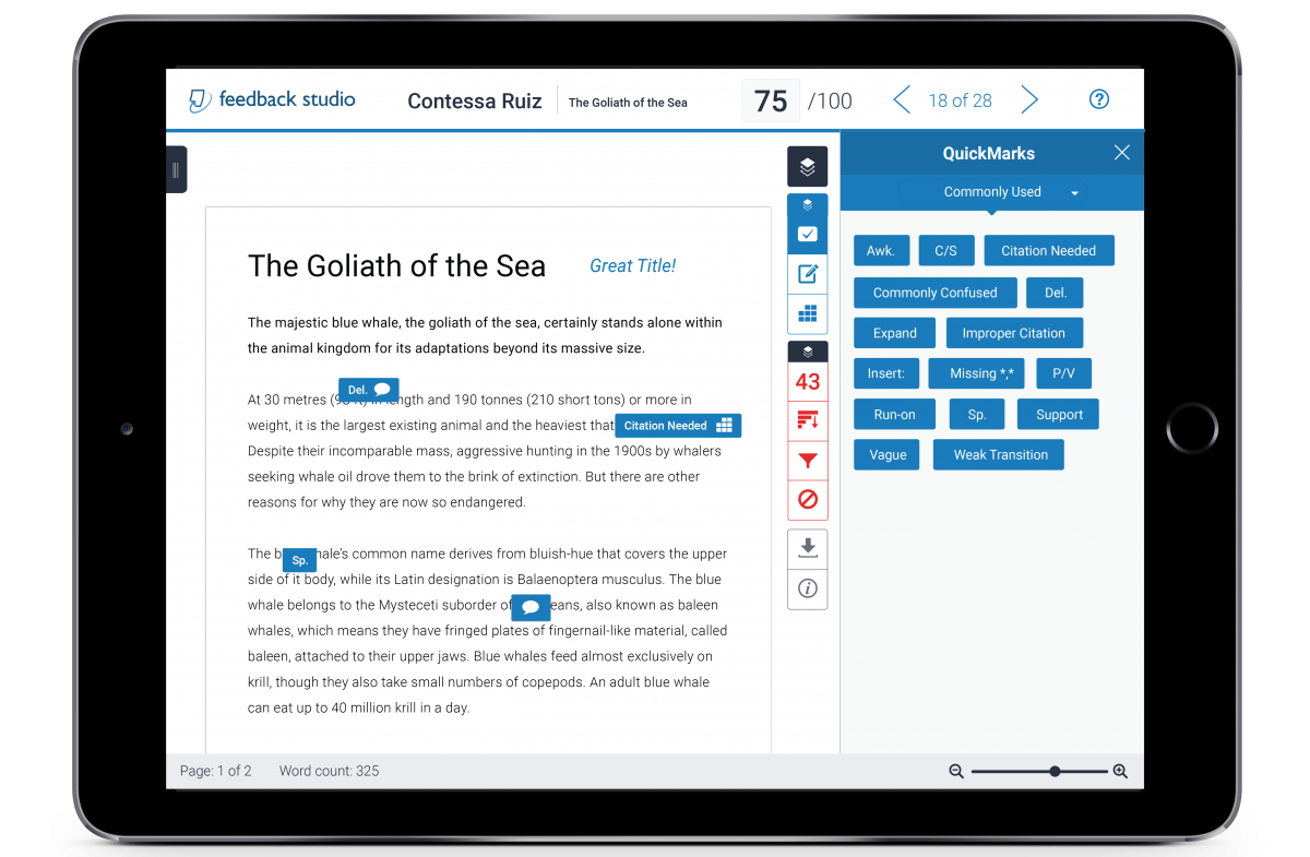 Turnitin Feedback Studio