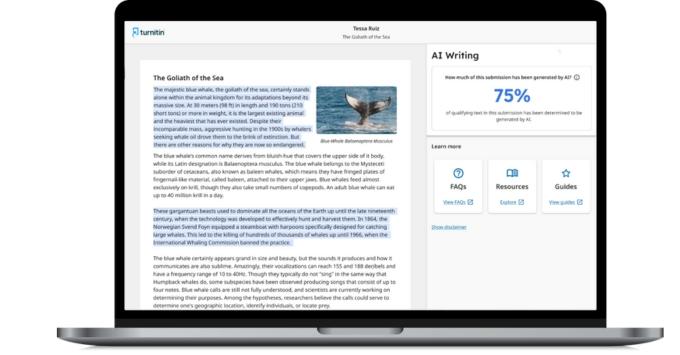 Giao diện GradeMark của Turnitin