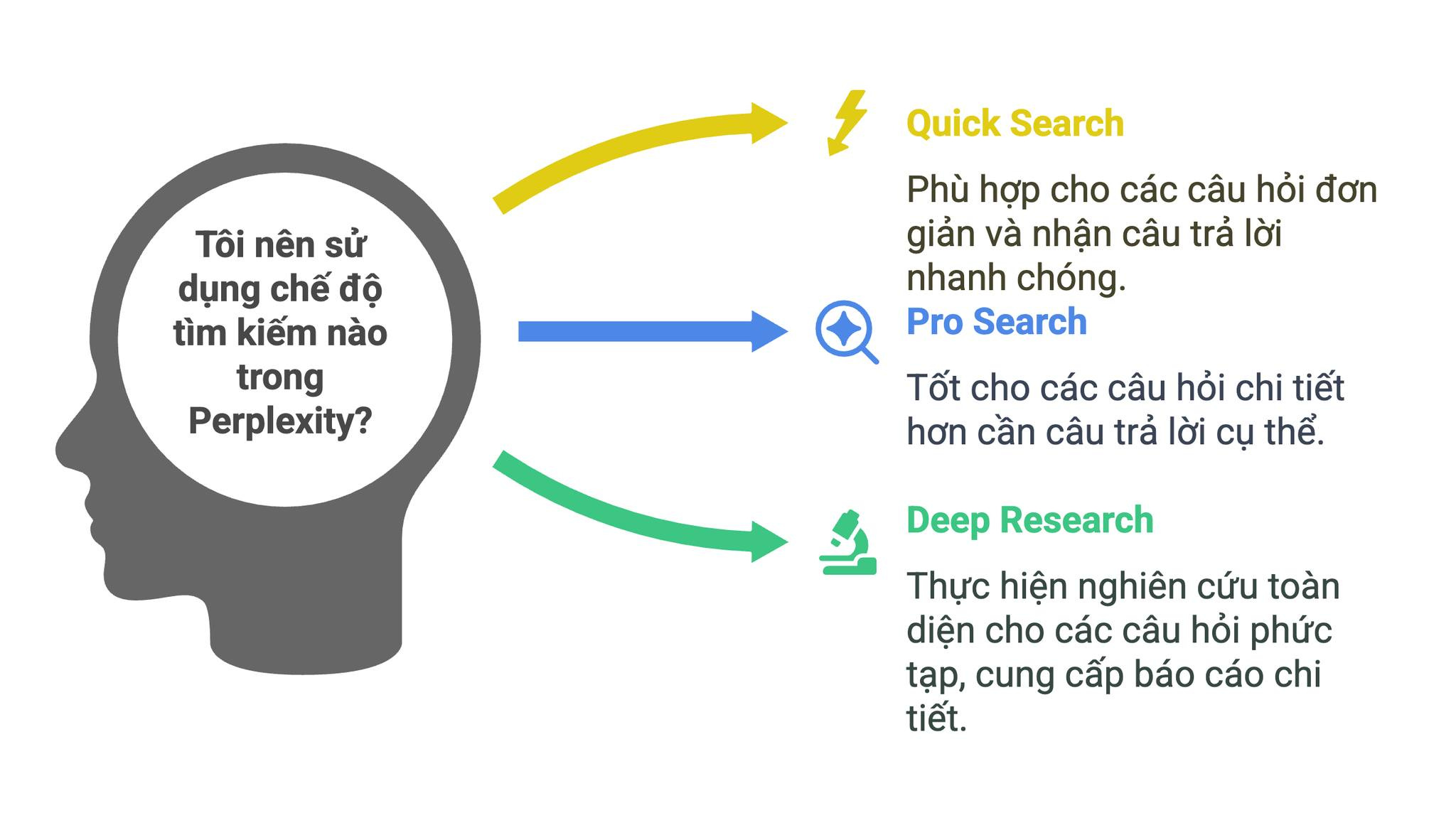 han che Perplexity AI