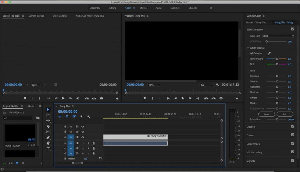 Workspace Color trong Adobe Premiere Pro