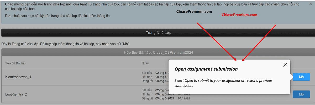 Thời gian xử lý xóa bài trên Turnitin