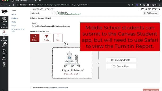 Thành công với Turnitin Canvas Integration