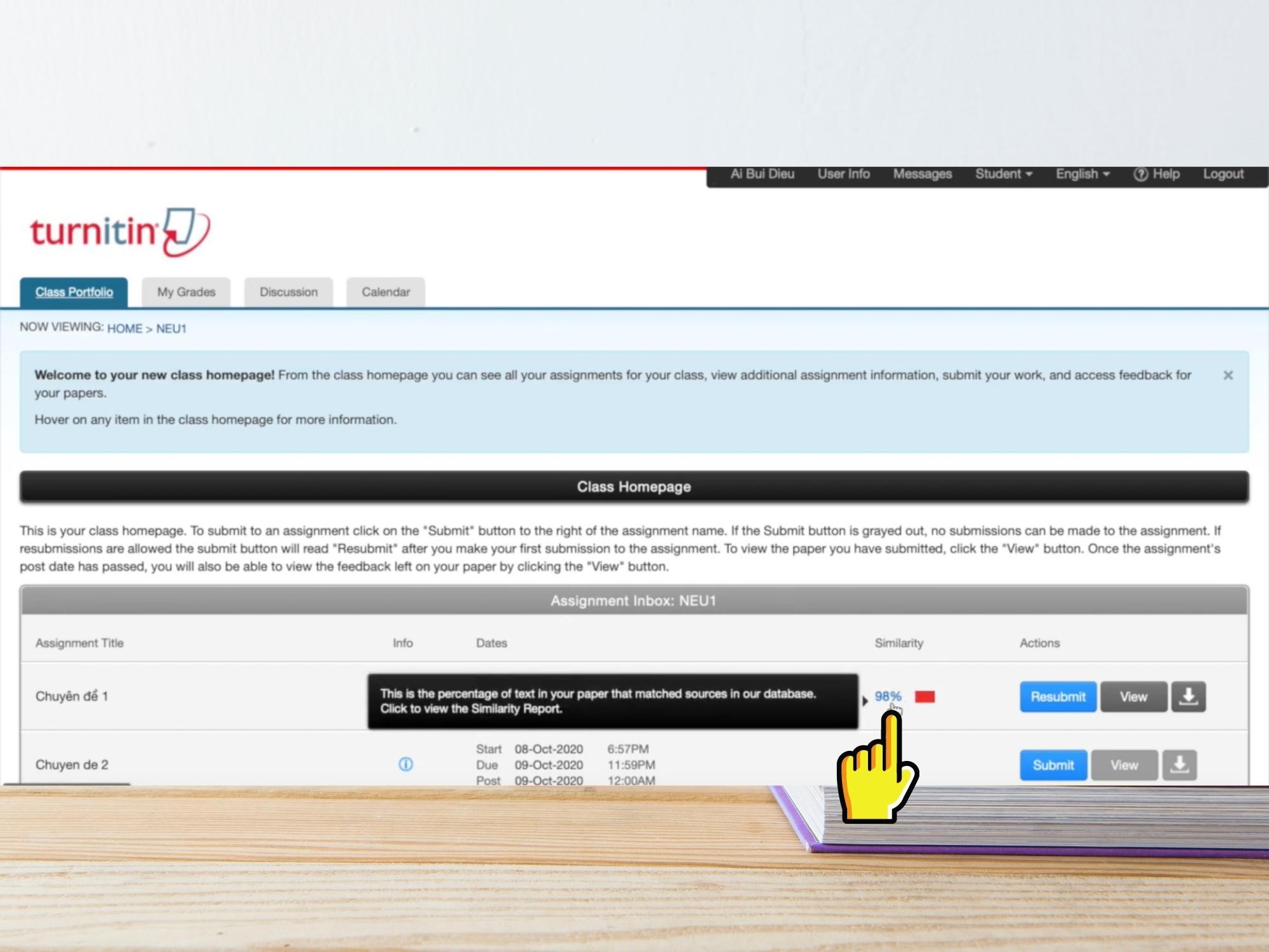 Giao diện hiển thị chỉ số Similarity trong Turnitin