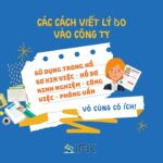 CÁCH VIẾT VÀ TÓM TẮT LÝ DO VÀO CÔNG TY TRONG HỒ SƠ XIN VIỆC