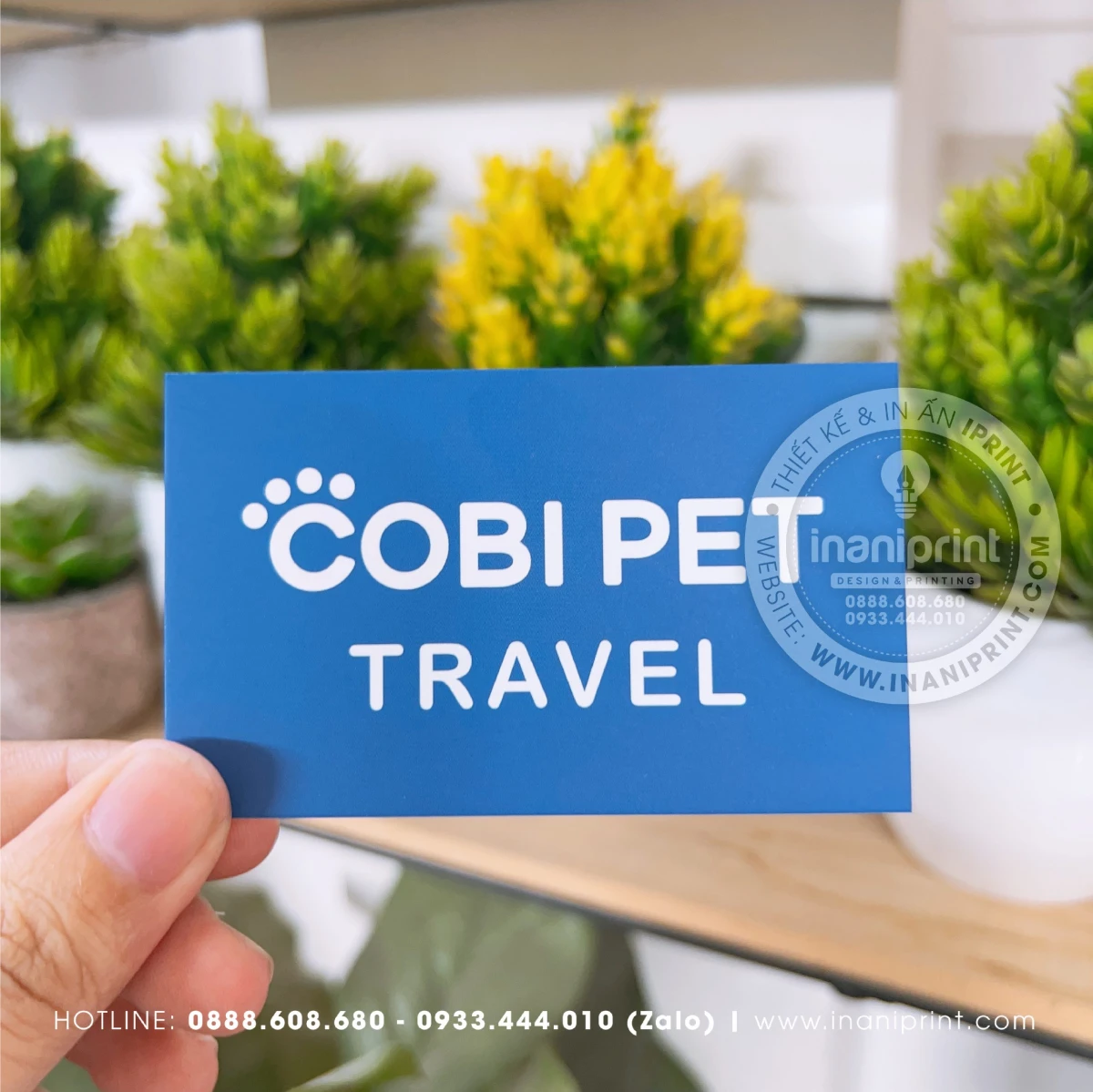 mẫu namecard
