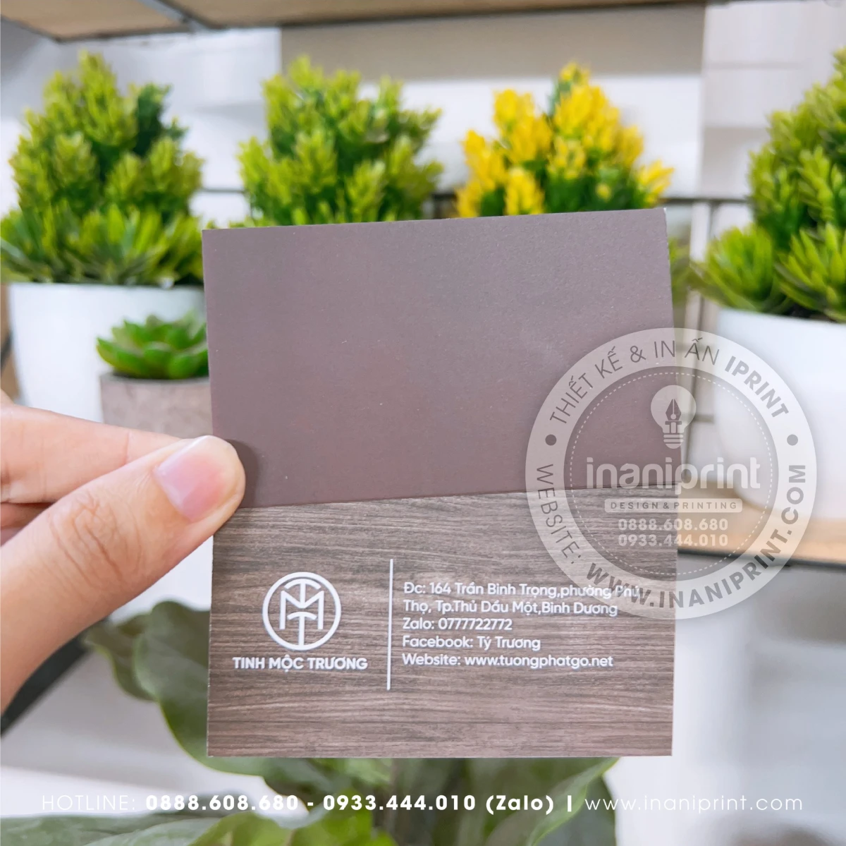mẫu namecard