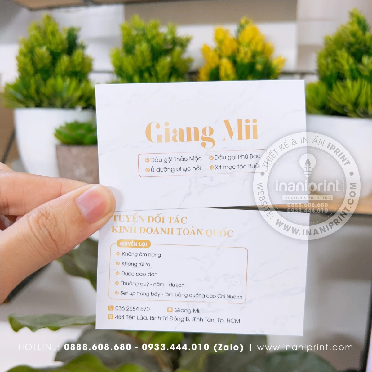 mẫu namecard
