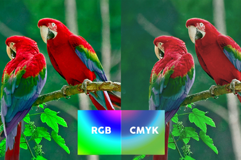 phân biệt màu cmyk và rgb