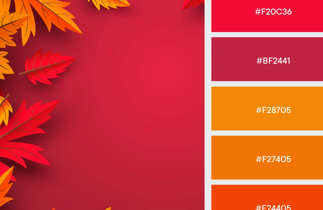 bảng palette màu