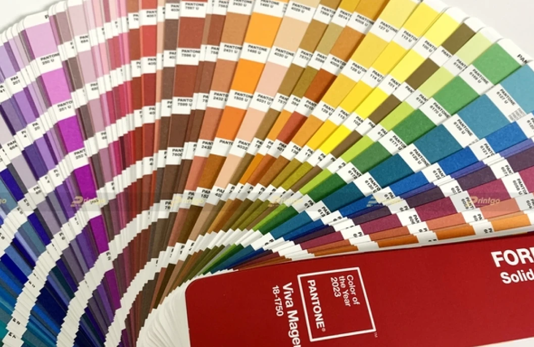 pantone màu là gì