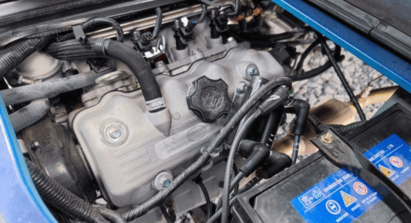 Động cơ xăng SWB11M