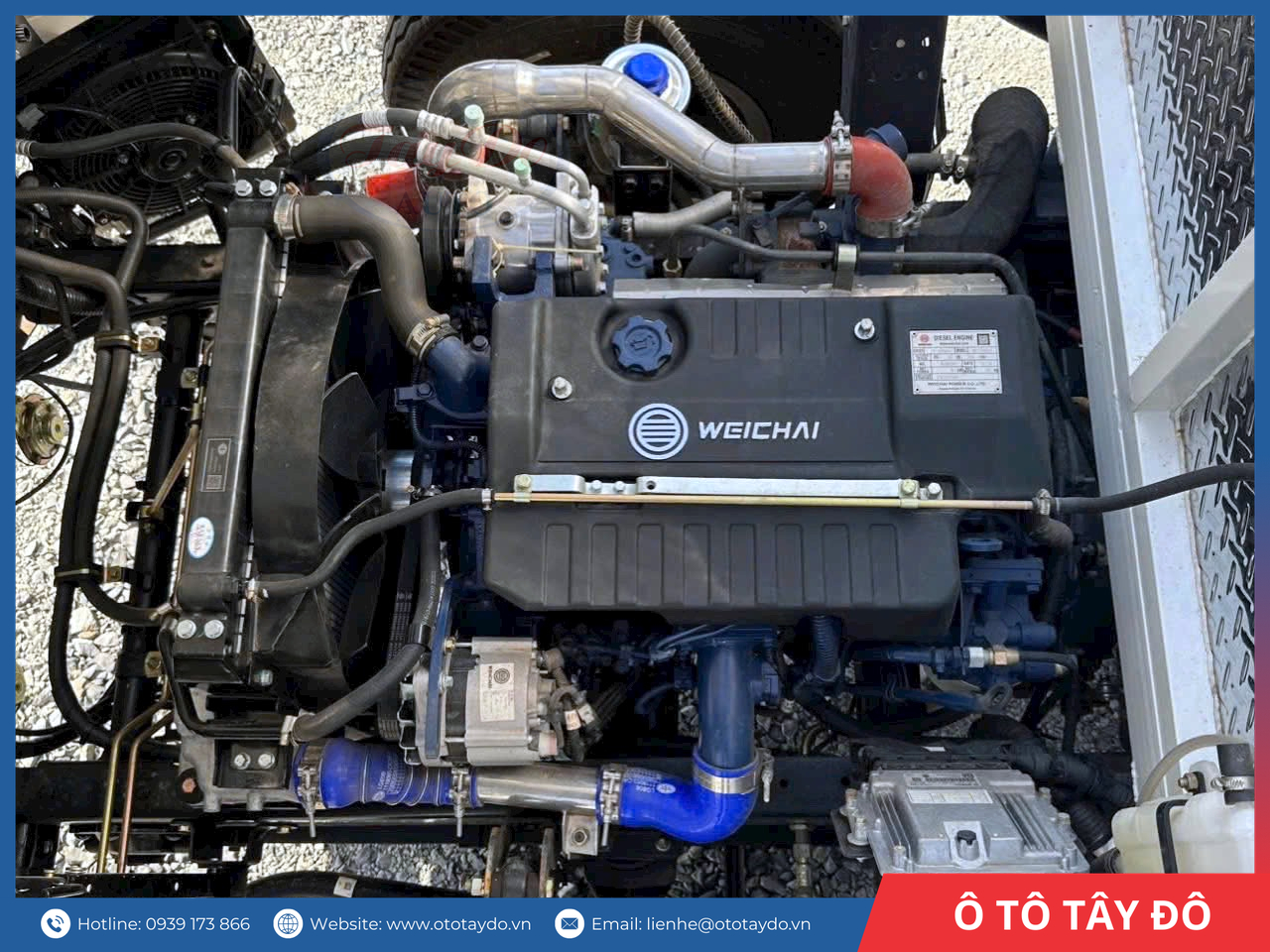 dong-co-weichai-3L7-faw-tiger