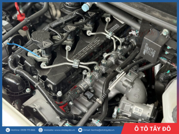 jac-sunray-16c-may-cummin-2L7