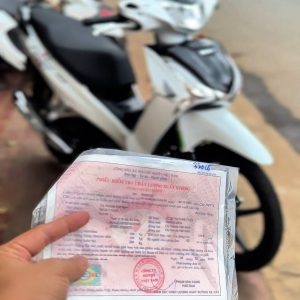 Giá Xe Future Buôn Ma Thuột - Cập Nhật Mới Nhất 2025